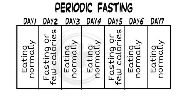 Periodic fasting